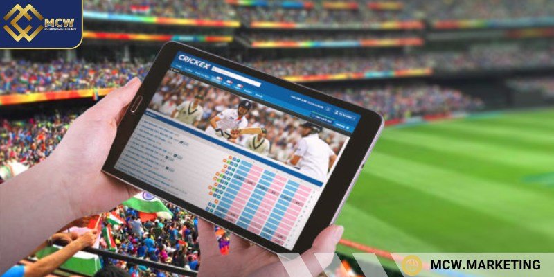 Cricket betting offers a variety of bets